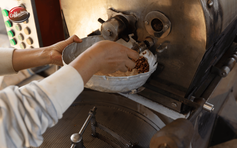 vi-sao-ca-phe-dac-san-khong-chi-la-cau-chuyen-marketing (4)